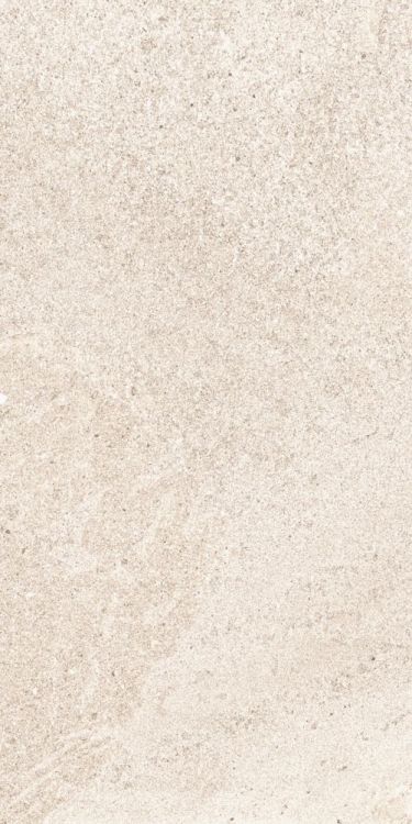 Tune Ivory 12 x 24